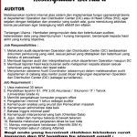 Auditor